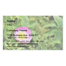 Detailed Photo Of Wild Rose Business Card