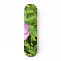 Detailed Photo Of Wild Rose Skateboard