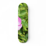 Detailed Photo Of Wild Rose skateboards