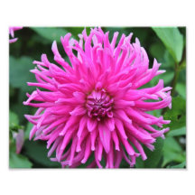 Detailed Pink Flower Photo Print
