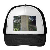 Detailed view of tree bark texture trucker hats