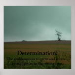 Determination Demotivational Poster