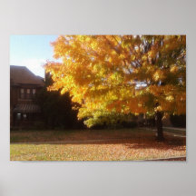 Detroit October day Poster