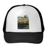 Detroit River Oil Spill Damage Mesh Hats