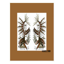 "DEUX amis d'art abstrait d'AMIS PRIMITIFS" Cartes Postales