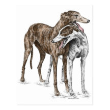 Deux amis de chien de lévrier cartes postales