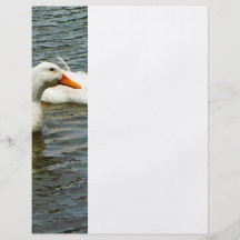 Deux canards blancs prospectus