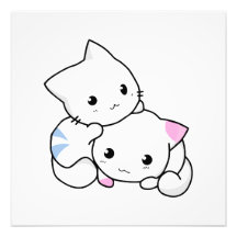 Deux chatons photographie d’art