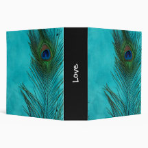 Deux plumes de paon d'Aqua