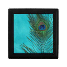 Deux plumes de paon d'Aqua Coffret Cadeau
