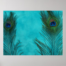 Deux plumes de paon d'Aqua Poster
