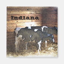 Deux vaches magnets