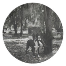 devil dog dinner plate