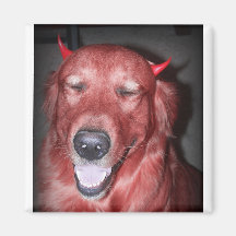 devil dog magnet