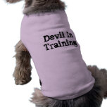 Devil In Training