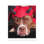 Devil Pit Post Cards
