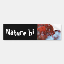 devils and angels bumper sticker