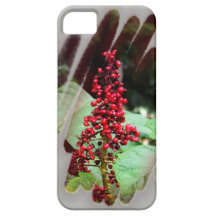 Devil's Club iPhone 5 Covers