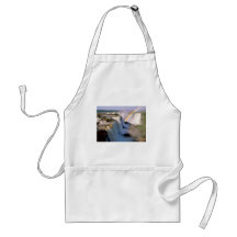 Devil's Throat, Argentina Apron
