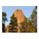 Devils Tower National Monument, Wyoming Post Card