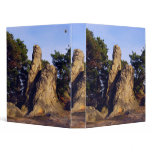 Devils Wall Binder