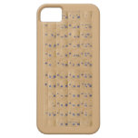 Devnagari Keyboard iPhone 5 Covers