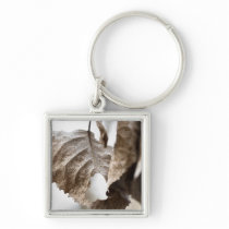 devoted four keychains