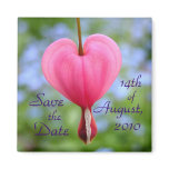 Devotion Save the Date Square Magnet
