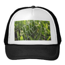 Dew And Spiderwebs Trucker Hat