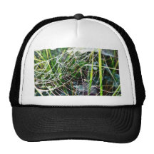 Dew Covered Spider Web Trucker Hats