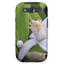 Dew covered white citrus blossom samsung galaxy SIII cases