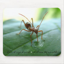 "Dew Drop Drink" mousepad