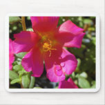 Dew Drop Mouse Pads