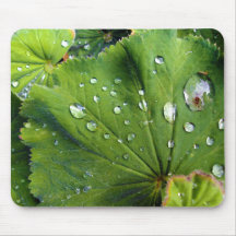 Dew Drops On A Leaf Mouse Pad
