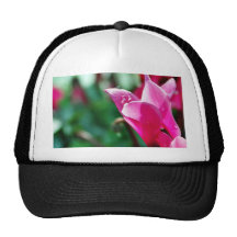 Dew Drops On Flower Trucker Hats