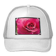 Dew Drops on Rose Baseball Hat
