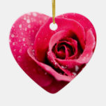 Dew Drops on Rose Ornament