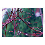 Dew Greeting Card