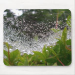 Dew in Spiderweb Mouse Pads