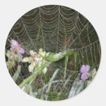 Dew Stickers