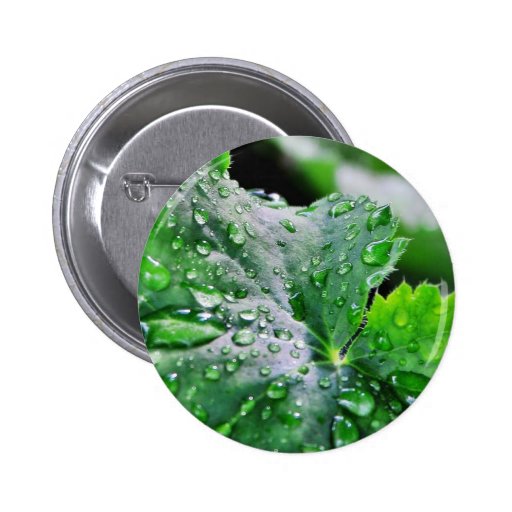Dew Water Droplets Drops Button