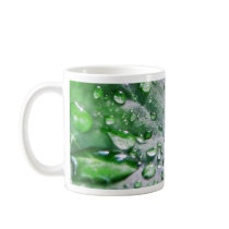 Dew Water Droplets Drops Mugs