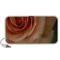 Dewy Peach Rose Closeup Photo Doodle Pc Speakers