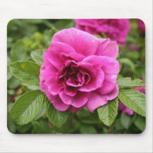 Dewy Rose Mouse Pad