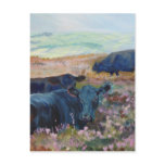 Dexter Cows on Dartmoor Acrylic Painting Poster Post Card