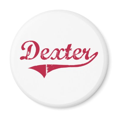Dexter New Mexico Classic Design Refrigerator Magnets by cityshirt