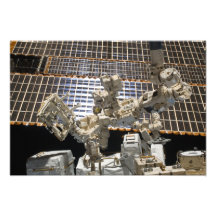 Dextre Art Photo