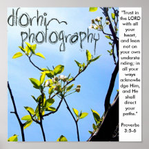 DFORHIM PHOTOGRAPHY Poster