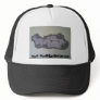 dgs, DGS SKATEBOARDS Trucker Hat