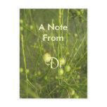 Di Post Card